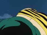 TigerStripes