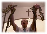 image-37