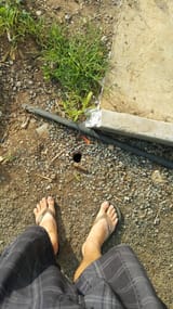 BQ4DPOF
