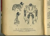 soviet robodog