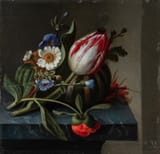 Rachel Ruysch (Den Haag, County of Holland, Dutch Republic 1664-1750 Amsterdam, County of Holland, Dutch Republic) Still life of a tulip and other flowers with a melon upon a ledge - Oil on oak panel 1748