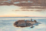 Bruno Andreas Liljefors (Uppsala, Uppsala län, Sweden, U.K. of Sweden-Norway 1860-1939 Stockholm, Kingdom of Sweden) Common Eiders on a rock - Oil on canvas 1929