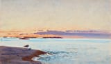 Bruno Andreas Liljefors (Uppsala, Uppsala län, Sweden, U.K. of Sweden-Norway 1860-1939 Stockholm, Kingdom of Sweden) Coastal scene with seagulls - Oil on panel 1923