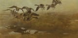 Bruno Andreas Liljefors (Uppsala, Uppsala län, Sweden, U.K. of Sweden-Norway 1860-1939 Stockholm, Kingdom of Sweden) Fallande Vildgass (Descending Wild geese) - Oil on canvas 1907