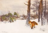 Bruno Andreas Liljefors (Uppsala, Uppsala län, Sweden, U.K. of Sweden-Norway 1860-1939 Stockholm, Kingdom of Sweden) Fox in winter landscape - Oil on canvas