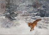 Bruno Andreas Liljefors (Uppsala, Uppsala län, Sweden, U.K. of Sweden-Norway 1860-1939 Stockholm, Kingdom of Sweden) Fox in winter landscape - Oil on canvas 1932