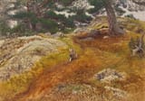 Bruno Andreas Liljefors (Uppsala, Uppsala län, Sweden, U.K. of Sweden-Norway 1860-1939 Stockholm, Kingdom of Sweden) Hare in forest landscape - Oil on canvas 1907-min
