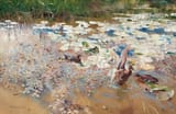 Bruno Andreas Liljefors (Uppsala, Uppsala län, Sweden, U.K. of Sweden-Norway 1860-1939 Stockholm, Kingdom of Sweden) Wild Ducks - Oil on canvas 1887