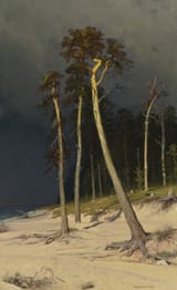 Ivan Ivanovich Shishkin (Yelabuga, Vyatka Governorate, Russian Empire 1832-1898 Saint Petersburg, Russian Empire) Sandy Coastline - Oil on canvas 1879-min