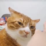 1743572034817822