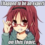 expert