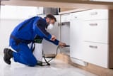 man-spraying-pesticide-in-kitchen