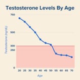 Testosterone-Levels-By-Age-Chart-1024x1024