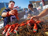 patriots-tailgating-lobster
