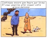 TintinCursesFrench2