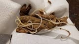 images - 2025-07-20T162928.806
