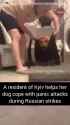 A Kyiv resident helps her dog cope with panic attacks during Russian strikes 20-07-2025 During air raid alerts, covers the dogs ears, plays white noise HD_thumb.jpg