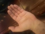 17530439376727046380054622516954