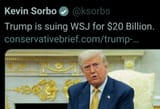 Trump WSL 20b