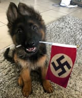 pupper