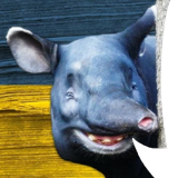 1740862872043240
