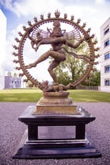 CERNunos