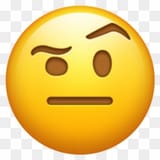 102-1025854_one-eyebrow-raised-🙂-emoji
