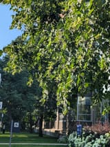PXL_20250720_223106254
