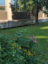 PXL_20250720_223217375