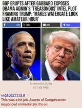 obama treason 2