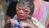 baby-niglet