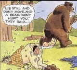 bears