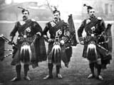 Pipers