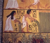 Egyptian_Harvest