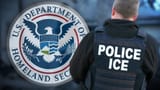 ice-police
