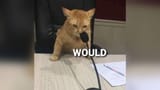 Would