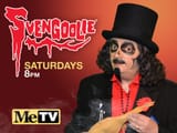 6269f9f972cb4dc5cc84e2db_svengoolie_1000