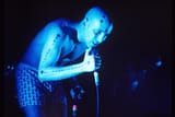 maynard