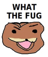 what-the-fug-58ab4ca5e97be