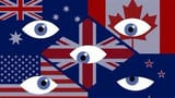 whitepedoflag