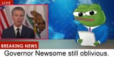 ApnNewsomefollies5