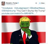 Trump posting smug Pepe in 2016