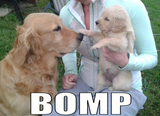 Bomp