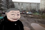 dcovi