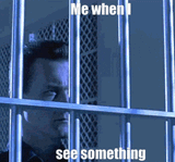 me-when-i-see-something-see-something