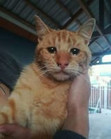 7ofi5ma0u6g11