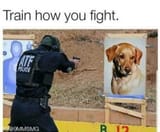 1608777185822