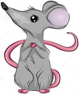 mouse
