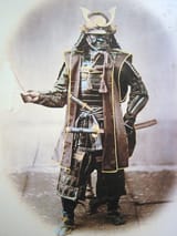 samurai animale