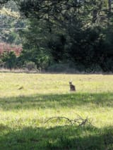 IMG_20230219_105844